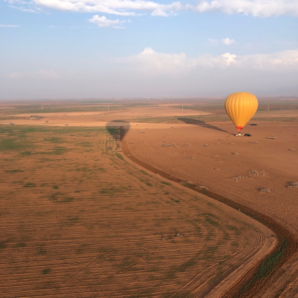 Meet your Posher, Diana